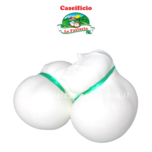 Scamorza di Latte di Bufala